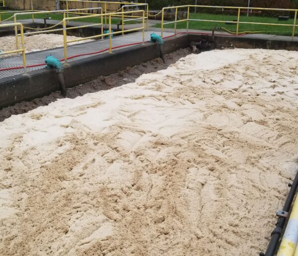 Troubleshooting & Optimizing Activated Sludge Processes