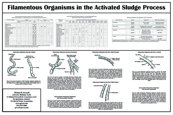 Poster 36x24, Filamentous Organisms in the Activated Sludge Process